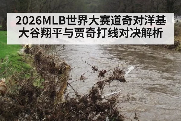 2026MLB世界大赛道奇对洋基大谷翔平与贾奇打线对决解析